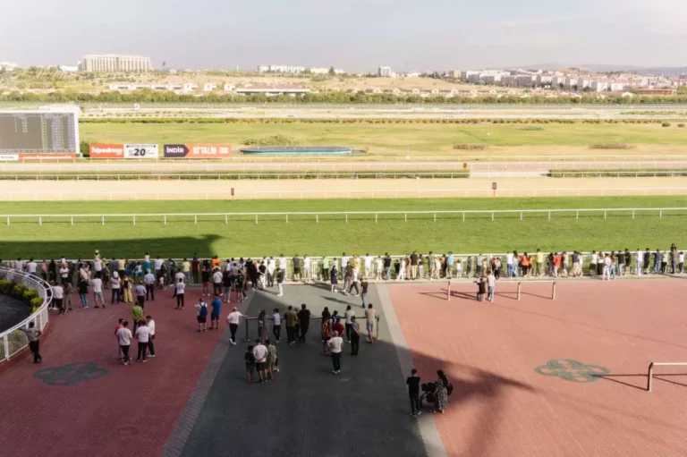 Cheltenham Festival from Benidorm: What the Poolside Deal Really Offers