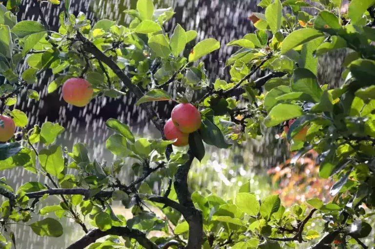 Climate-Proof Reconstruction in Syria: Making Deserts Bloom With Green Technology