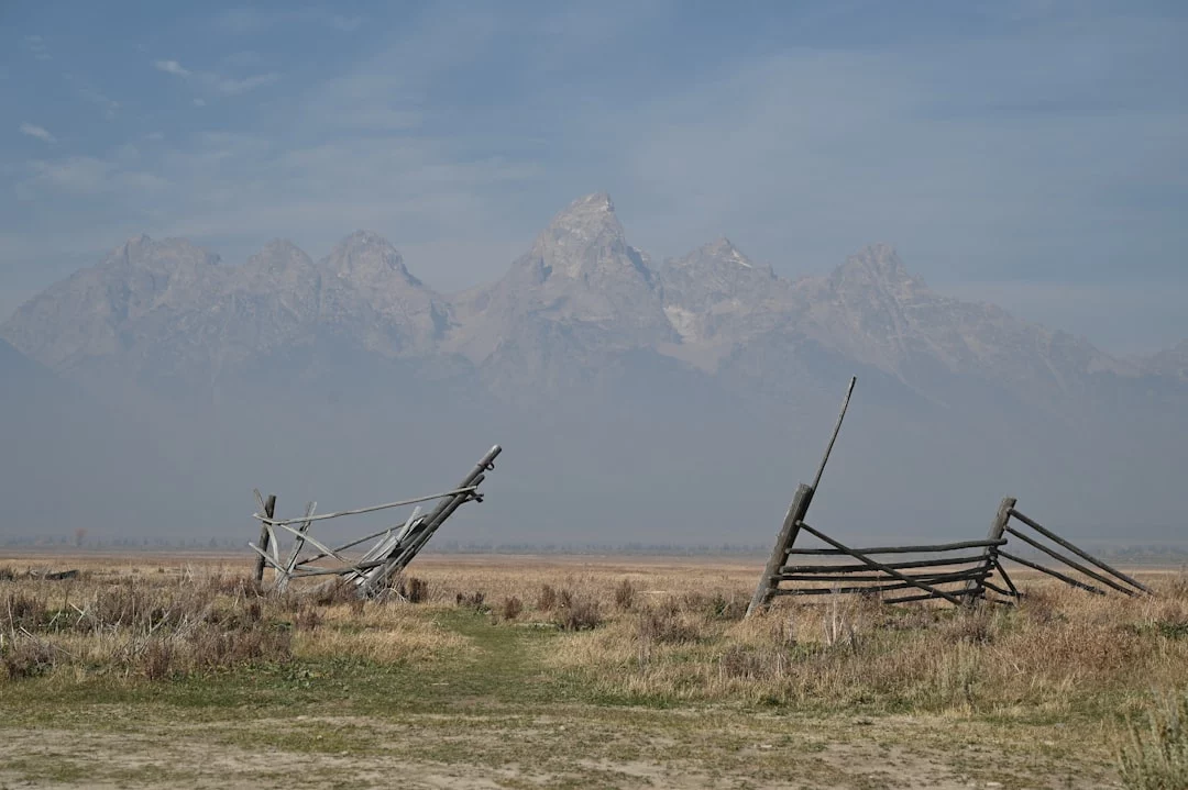 Drought, rising costs and beef import pressures squeeze Wyoming ranchers