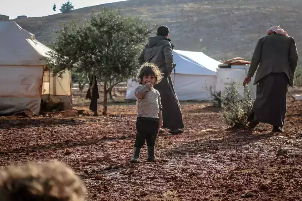 Forced Displacement in the West Bank: When UN Findings Challenge the Limits of Impunity