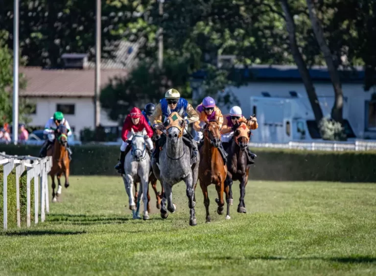 Horse Racing Betting Tips: How to Find Each-Way Value in Friday Races