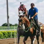 Horse Racing Tips: Why a Gelded Runner Can Still Offer Value at Kempton