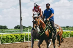 Horse Racing Tips: Why a Gelded Runner Can Still Offer Value at Kempton