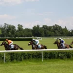 Horse Racing Tips and NAP Betting: How to Read Form and Find Value