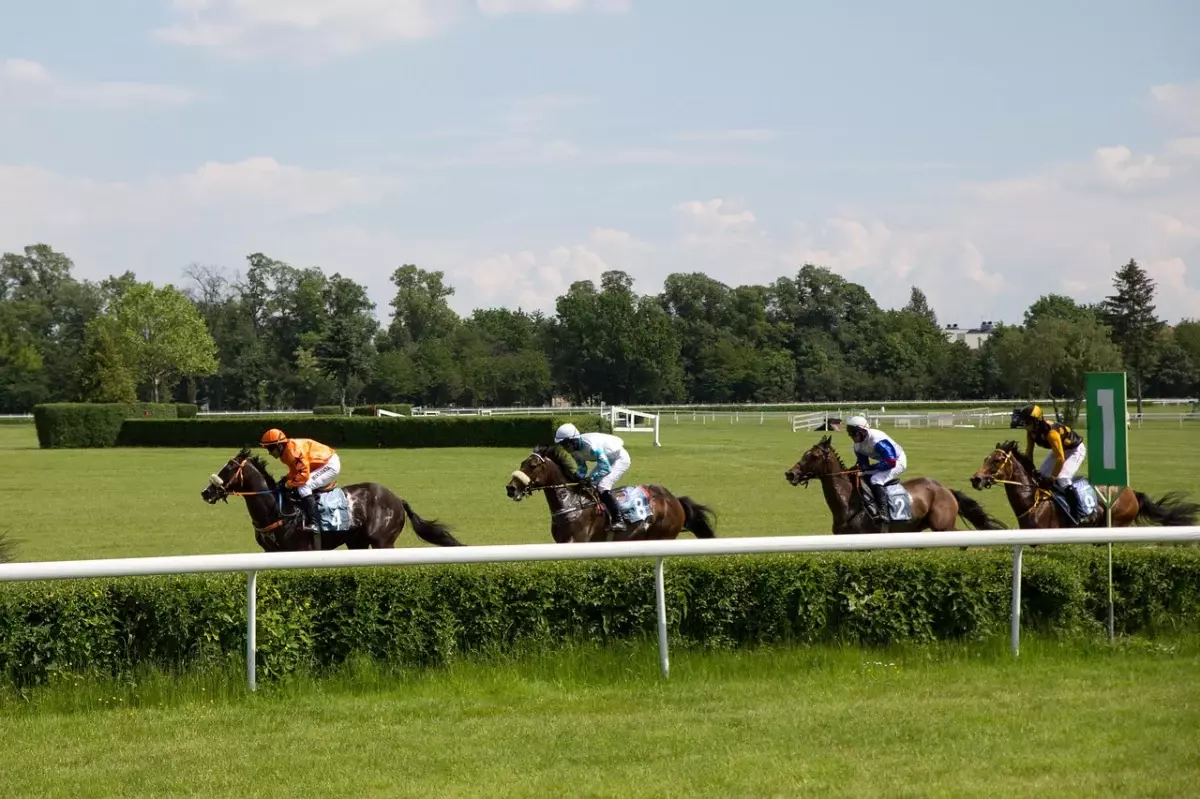 Horse Racing Tips and NAP Betting: How to Read Form and Find Value