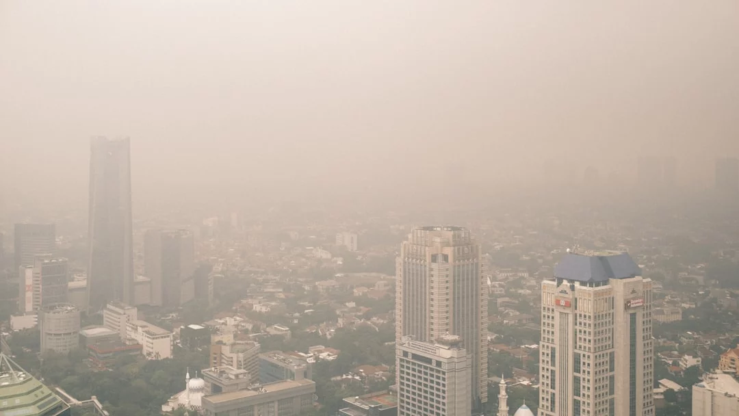 Indonesia Wildfire Smoke: Respiratory Crisis and El Niño Risks