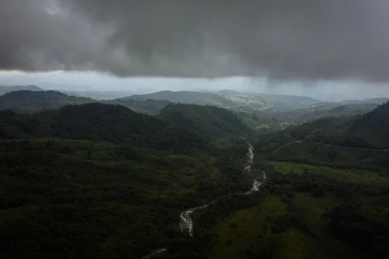 Juma Xipaia and Yanuni: Resistance in the Amazon