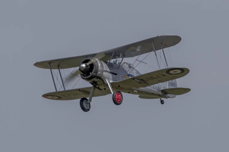 Light Aircraft Accident Investigation: What the French Biplane Crash Shows