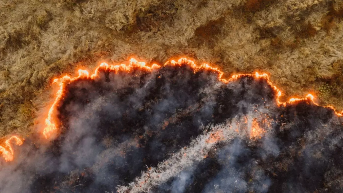 London Fire Control Centre Wildfire Watch: How Heatwaves Stress Urban Fire Response