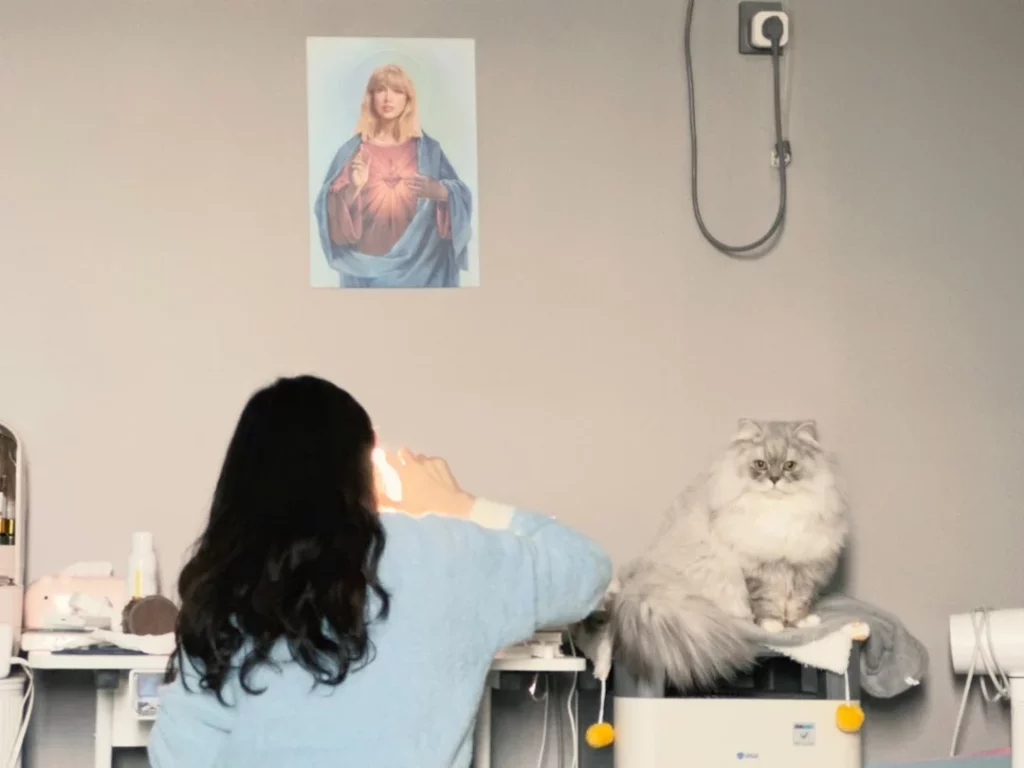 Pet Health Questions Answered: What Vets Look for First
