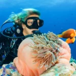 Project AWARE Week Maldives 2026: An Ocean Conservation Escape at Nova
