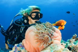 Project AWARE Week Maldives 2026: An Ocean Conservation Escape at Nova