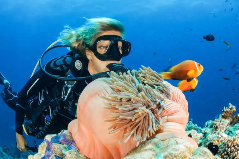 Project AWARE Week Maldives 2026: An Ocean Conservation Escape at Nova
