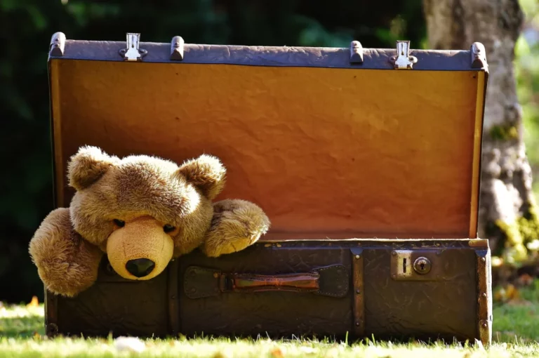 Quince Luggage Review: Affordable Luggage That Doesn't Feel Cheap
