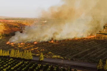 Ross Fire Still Burning, with Over 90,000 Acres Scorched