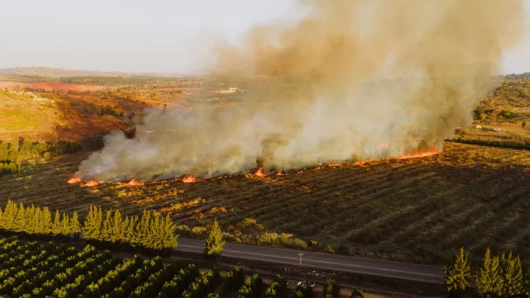Ross Fire Still Burning, with Over 90,000 Acres Scorched