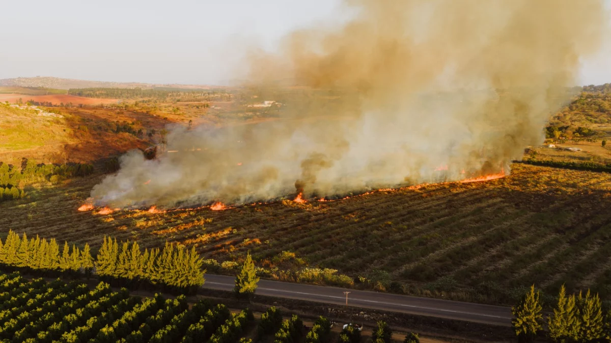 Ross Fire Still Burning, with Over 90,000 Acres Scorched
