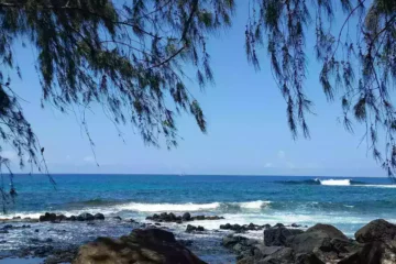 State of emergency in Hawaii as Hurricane Lowell approaches