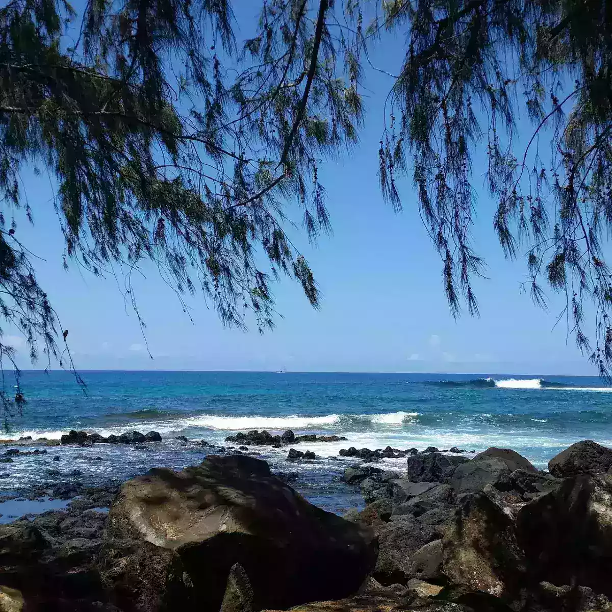 State of emergency in Hawaii as Hurricane Lowell approaches