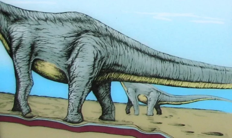 T. rex Footprints: What the First Known Tracks Reveal