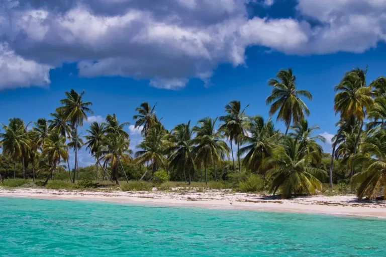 What Courtney-Diana Walker’s CTO Appointment Means for Sustainable Tourism in the Caribbean