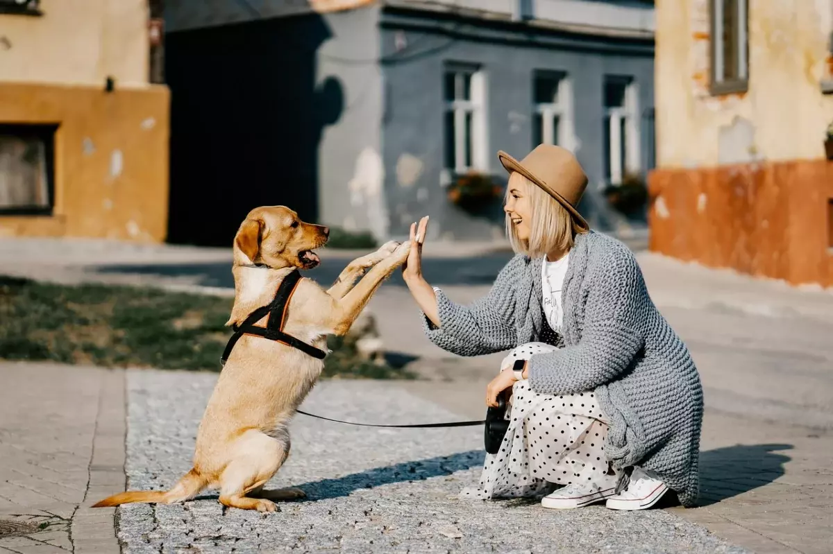 Why an Online Dog Support Group Matters for People With Difficult Dogs