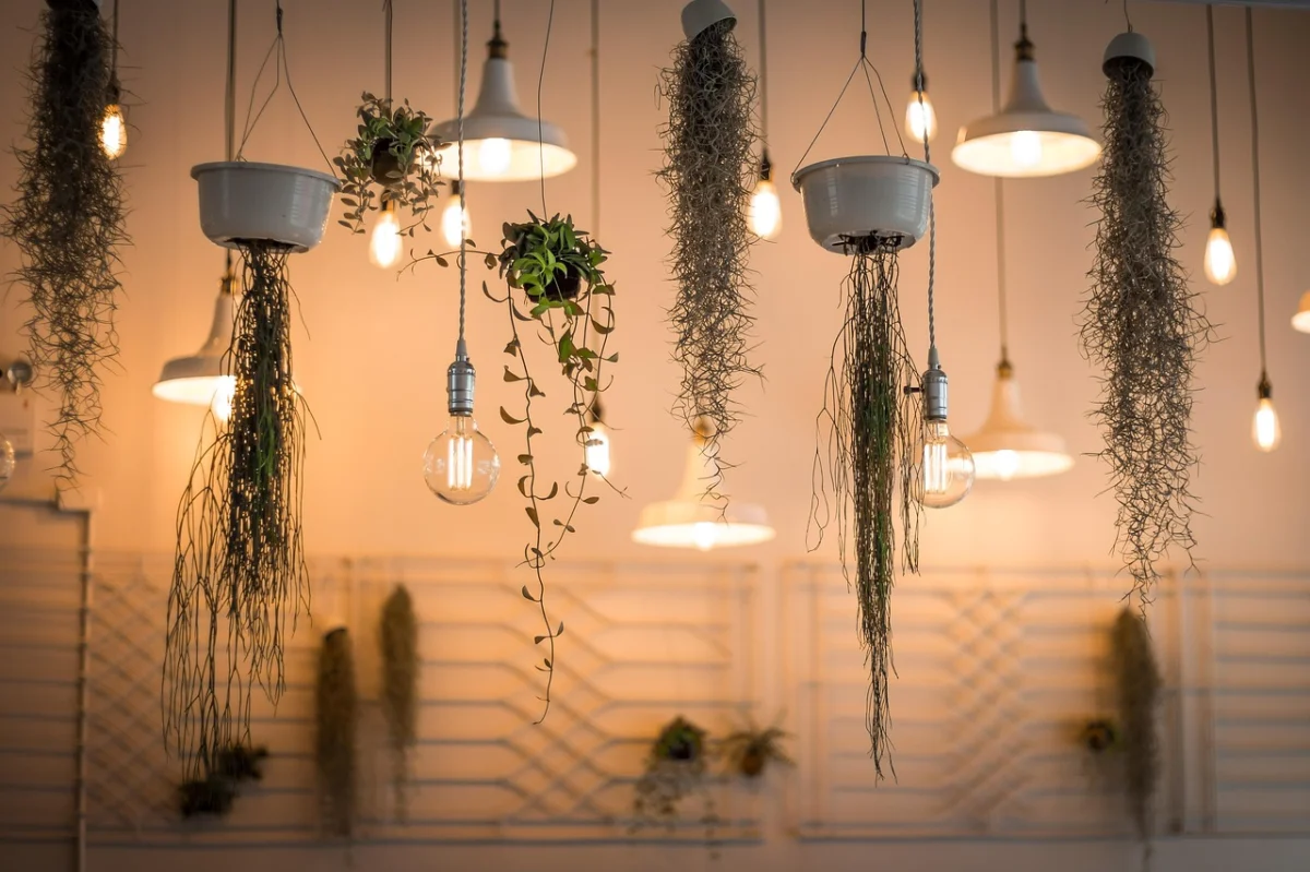 Best LED Grow Lights for Houseplants This Winter: How to Choose the Right Fixture in 2026
