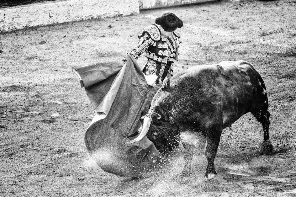 Bull Riding Safety After a Fatal Rodeo Accident