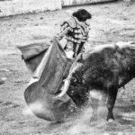Bull Riding Safety After a Fatal Rodeo Accident