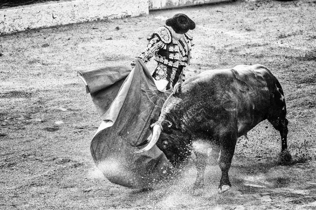 Bull Riding Safety After a Fatal Rodeo Accident