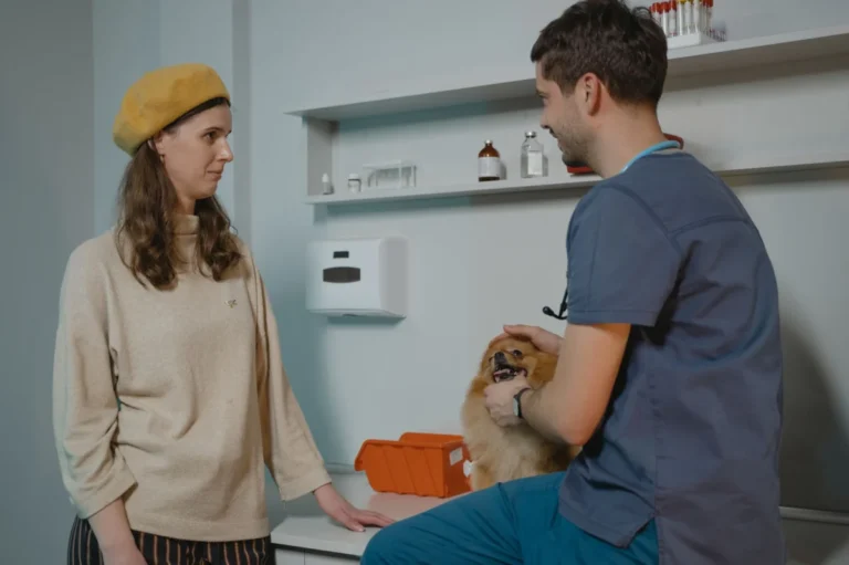 Common Pet Health Questions: What Vets Actually Want Owners to Know