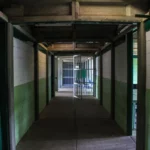 Early Prisoner Release and the Politics of Prison Reform