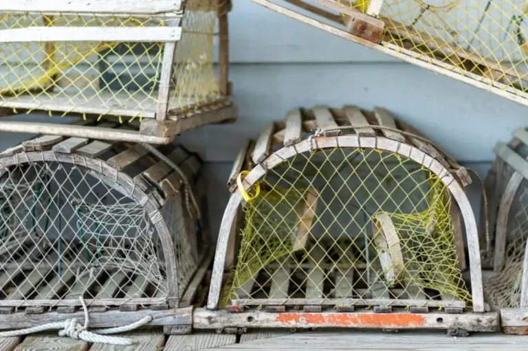 How Scientists Trapped an Antimatter Particle for Months