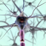 Optogenetics Nobel Prize: How Light Is Rewriting Neuroscience