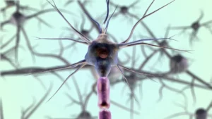 Optogenetics Nobel Prize: How Light Is Rewriting Neuroscience