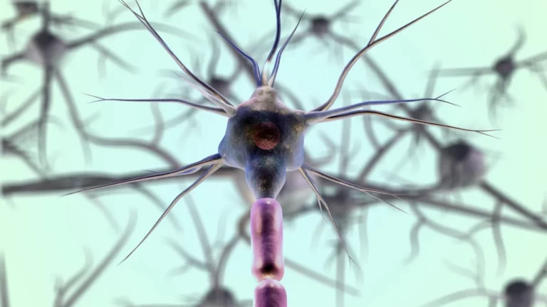 Optogenetics Nobel Prize: How Light Is Rewriting Neuroscience