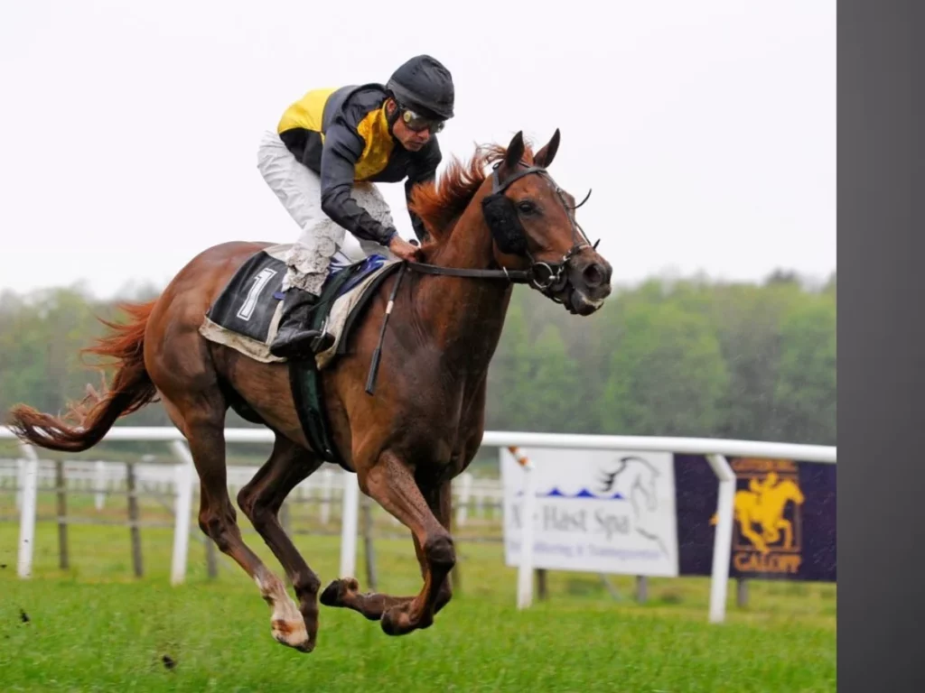 Prix de l'Arc de Triomphe 2027 VIP Trip: What the £649 Paris Package Really Delivers