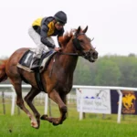 Prix de l'Arc de Triomphe 2027 VIP Trip: What the £649 Paris Package Really Delivers