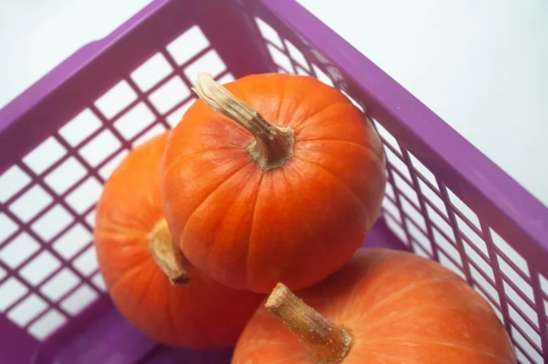 Tesco Free Halloween Pumpkin Giveaway: What It Means for Shoppers and UK Retail