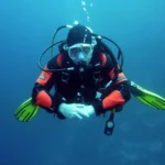 Underwater Sculpture Park in Saint Lucia: Art, Heritage, and Conservation Below the Surface