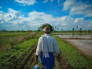 Why Digger Is the Perfect Climate Movie